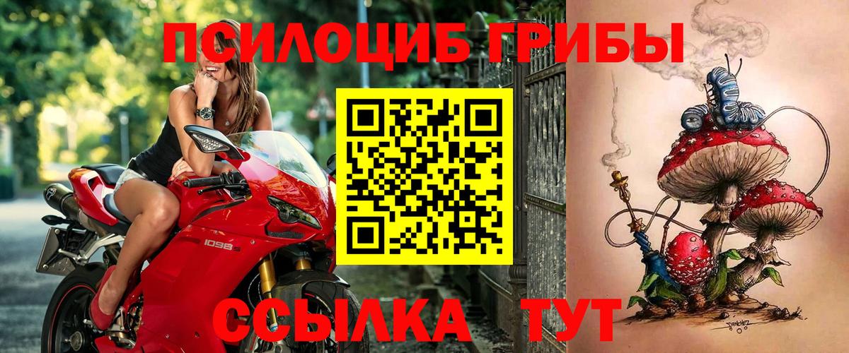 Новоуральск  Псилоцибиновые грибы Cubensis  Вход с VPN 